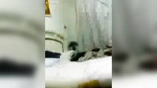 فيلم سكس راجل ينيك مراته ساعة ونص
