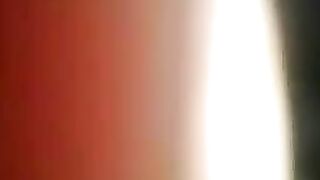 مصرية ملبن بتمص زب اخوها عشان يجيبهم على وشها - سكس مصري قديم