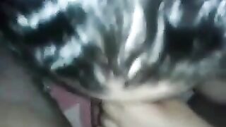 مصرية ملبن بتمص زب اخوها عشان يجيبهم على وشها - سكس مصري قديم