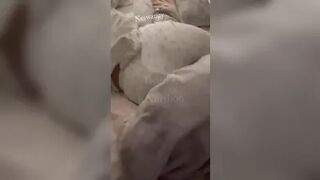 ديوث مصري بحسس على طيز اخته وهي نايمه